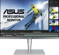 Asus ProArt PA24AC 24,1" szary (90LM04B0-B01370)