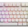 Sharkoon PureWriter TKL RGB